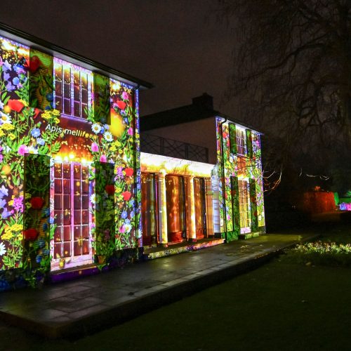 Rules for the competition to win four free tickets to Cambridge Botanic Lights 2026