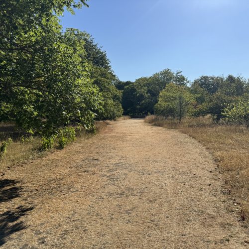 Irrigation Project