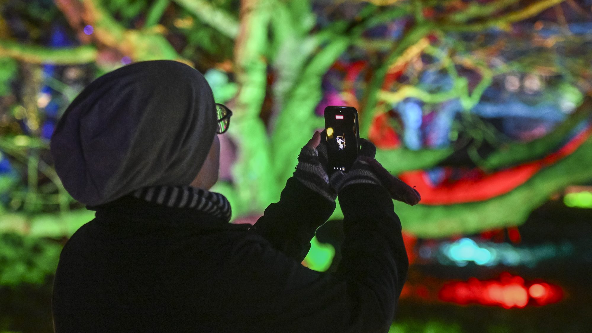 A person in a woolly hat takes a photo with his mobile phone of Cambridge University Botanic Garden illuminated with different bright colours of greens, reds and blues.