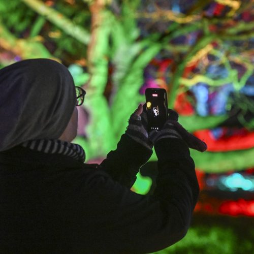 Cambridge Botanic Lights 2026 - Photography Competition