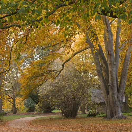 Reading the signs of the seasons: Tuning in to nature’s calendar