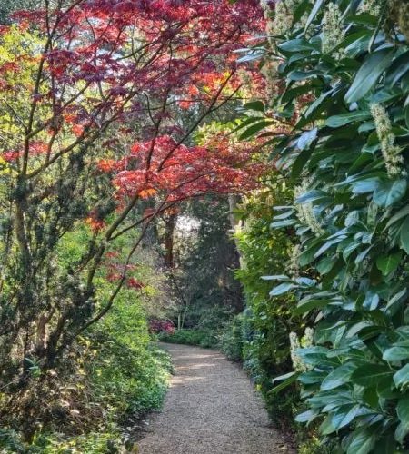 FULLY BOOKED: Friends’ Tour: Trinity College Garden