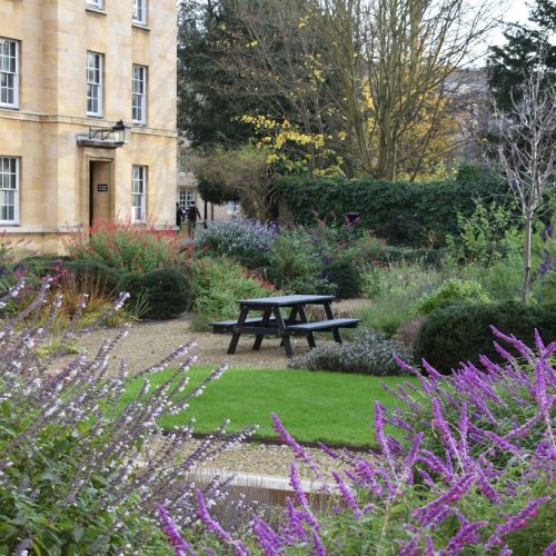 Friends' Tour: Christ's College Garden
