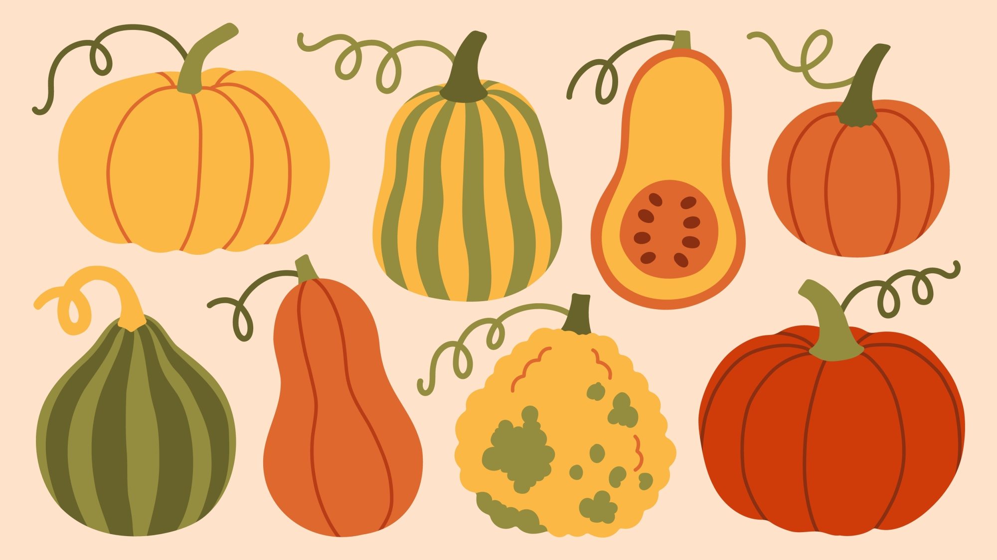 A variety of illustrated pumpkins arranged on a neutral background.