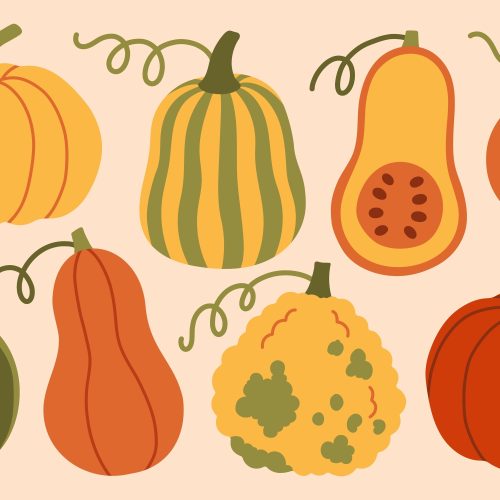 Cool Cucurbits family activity